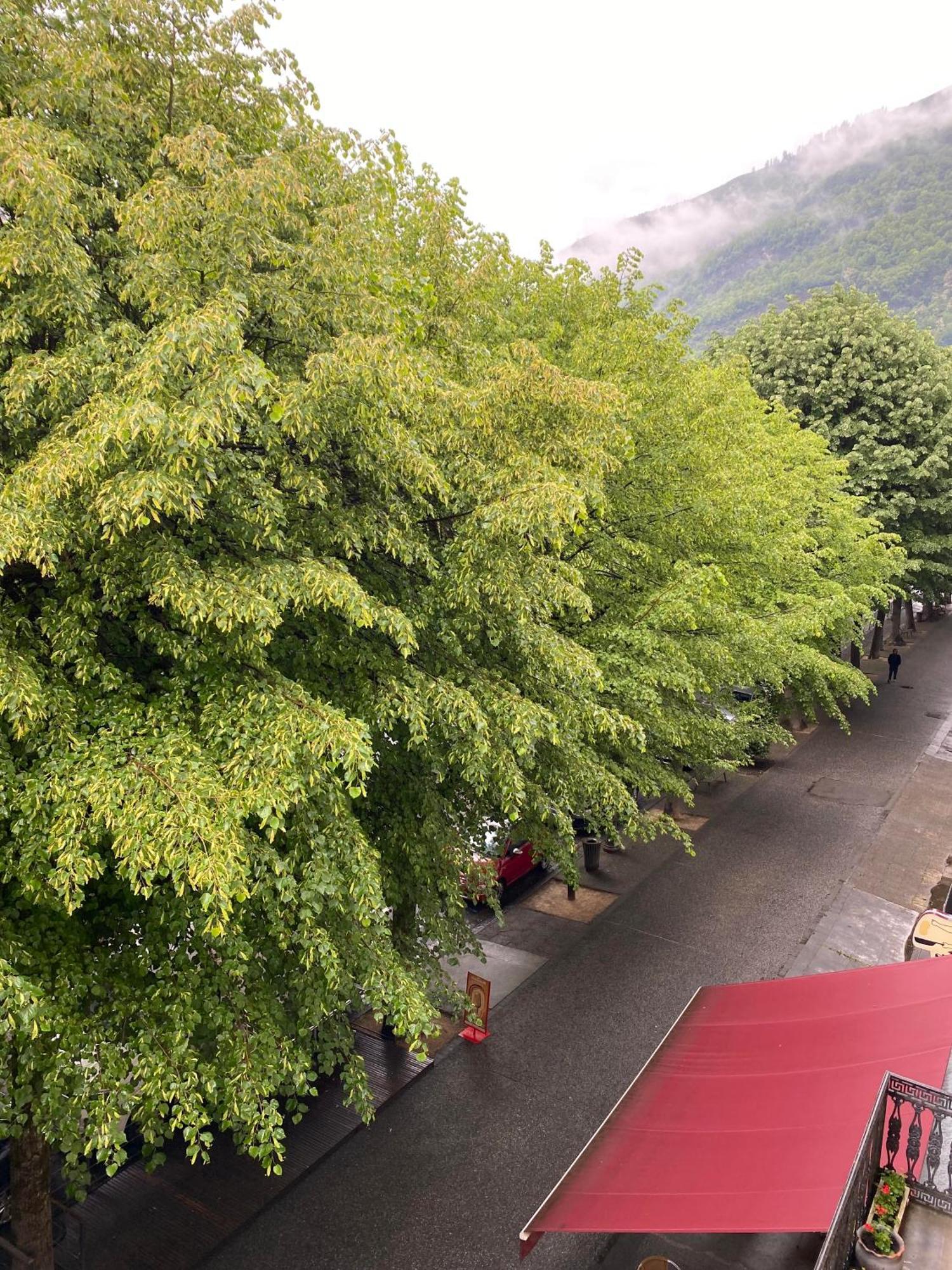 Au 47 Allees D'Etigny - Central & Standing - Avec Parking - Linge De Lit Et De Toilette Inclus Bagneres-de-Luchon Bagian luar foto